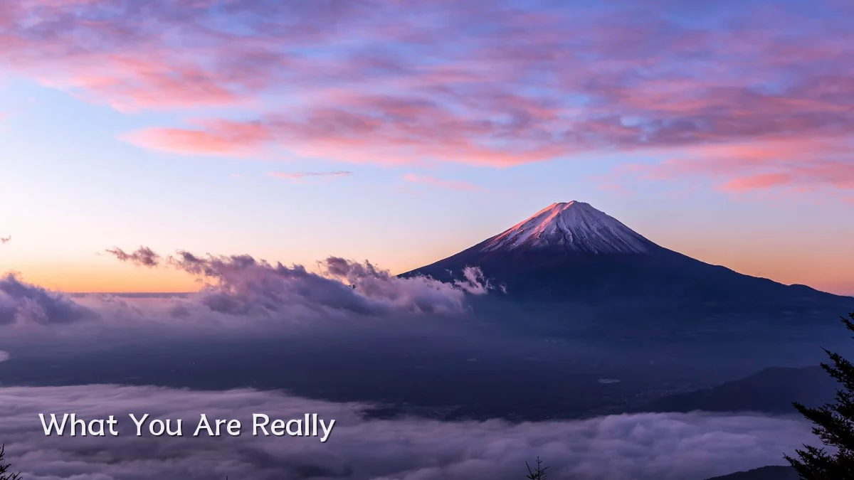 What You Are Really