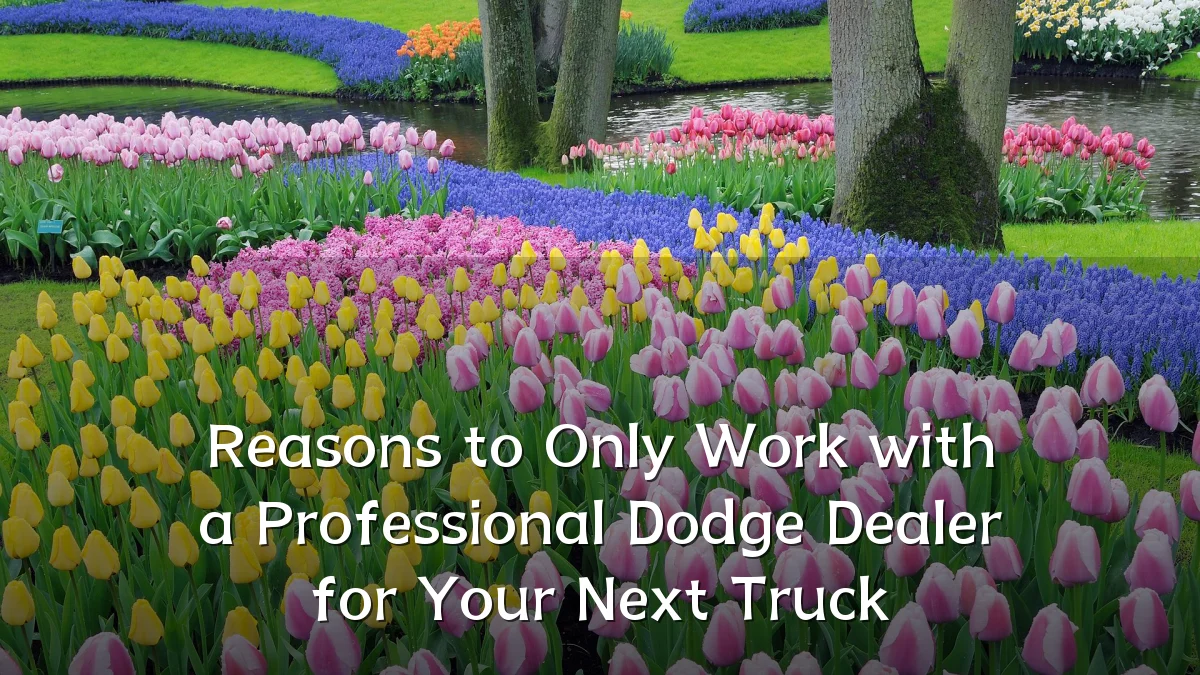 Reasons to Only Work with a Professional Dodge Dealer for Your Next Truck